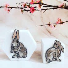 Load image into Gallery viewer, Baby Rabbits