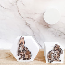 Load image into Gallery viewer, Rabbit Set