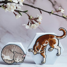 Load image into Gallery viewer, Cats