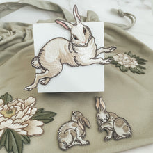 Load image into Gallery viewer, Rabbit Set